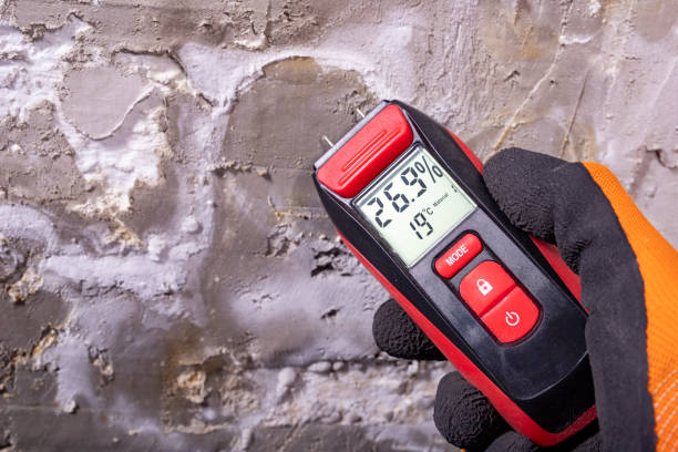 Professional Mold Removal in Gretna, NE