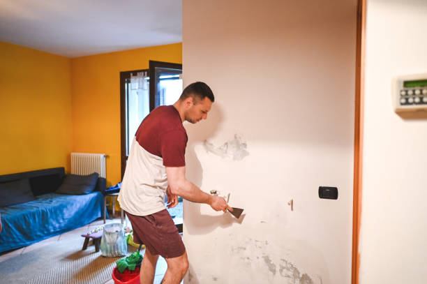 Best Local Mold Removal Service  in Gretna, NE